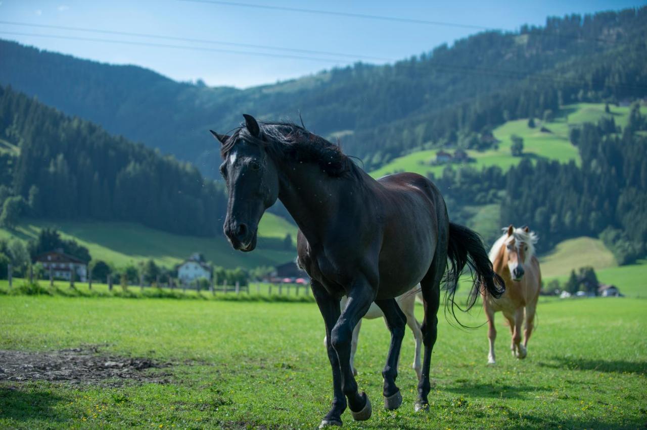 Ranstl Ferienwohnungen Flachau Exterior foto